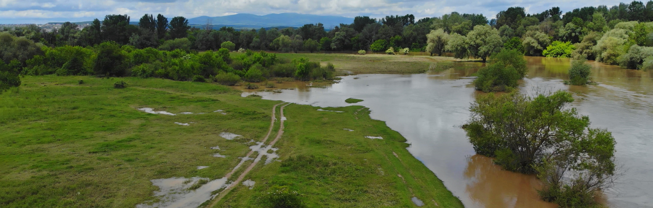 Flood Resilience